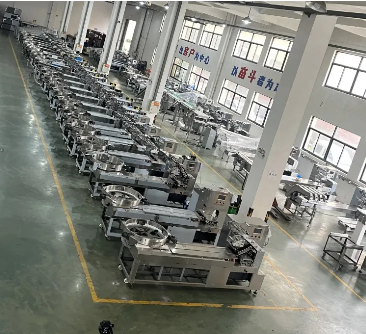 Reliable Jelly Packing Machine with Pillow Type Sealing for Candy and Toffee